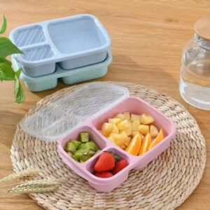 Student Lunch Box (Small)